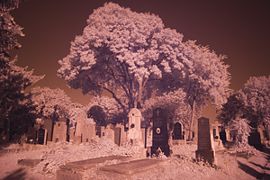 Infrarotbild Zentralfriedhof Beispiel 1