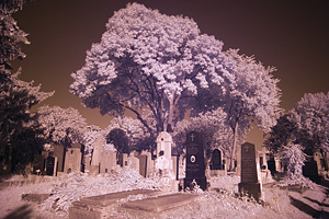 Infrarotbild Zentralfriedhof Beispiel 2