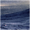 Welle