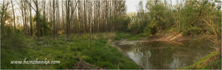 Altarm in Haslau