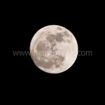 Vollmond