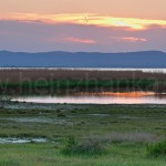 Die Hölle, zwischen Podersdorf und Illmitz