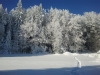 Langlaufen im Waldviertel - Region Bärnkopf