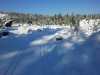 Langlaufen im Waldviertel - Region Bärnkopf