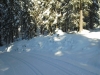 Langlaufen im Waldviertel - Region Bärnkopf