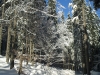 Langlaufen im Waldviertel - Region Bärnkopf