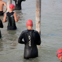 Hinein in den Neusiedlersee