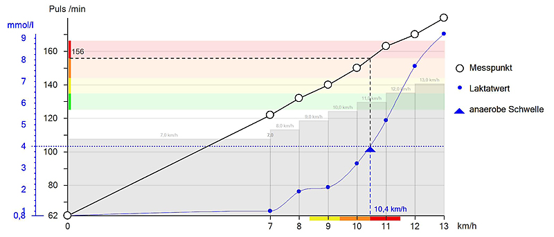 Pulskurve und Laktatkurve